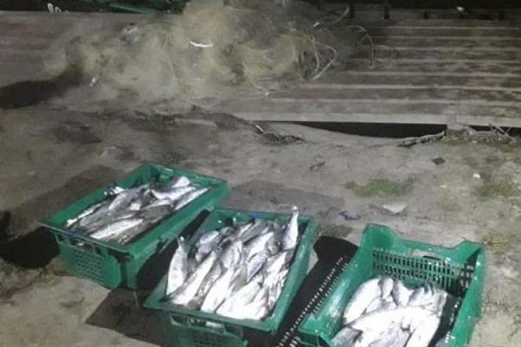 На Дунае вблизи Вилково водная полиция задержала двух браконьеров