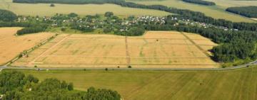 Право на бесплатные 2 гектара земли хотят отменить: Кабмин одобрил законопроект