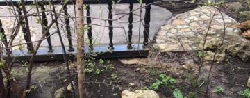 Благоустрій по-одеськи: висадив дерево на прибудинковій території - отримав від сусідів заяву до поліції 