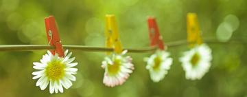 ЧУТЬ-ЧУТЬ БОЛЬШЕ ОТДЫХА: ПРАЗДНИКИ И ВЫХОДНЫЕ МАЯ