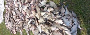 В Ренийской громаде браконьер наловил 200 кг рыбы в запрет