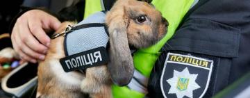 В Украине появился кролик-коп по прозвищу «Топотун»