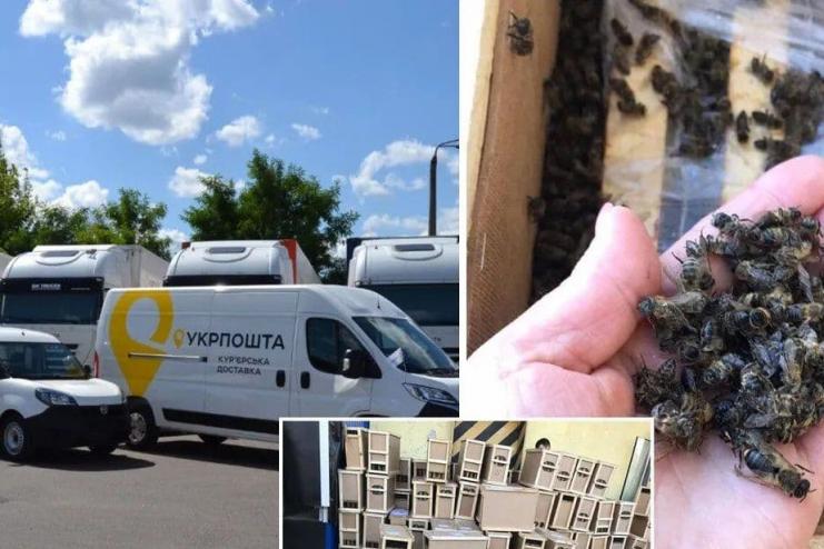  В грузовике "Укрпочты" погибли 8 млн пчел: пчеловоды намерены подавать в суд
