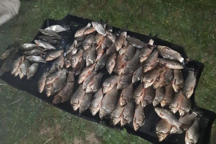 Правоохранители Одесской области разоблачили браконьера во время рейда на озере Ялпуг