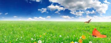 Аномальная жара и грозы. Синоптик рассказал, какой будет погода летом