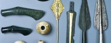 Раскрыта тайна уникального клада, найденного в Бородино более 100 лет назад