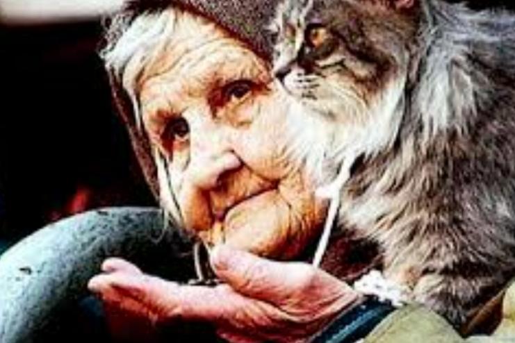 Поліція виявила в одеській квартирі змучених собак і мертвих котів  
