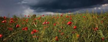 ГОТОВЬТЕ ЗОНТИКИ: синоптик предупредила об ухудшении погоды в Украине