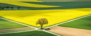 Одесские чиновники Госгеокадастра пойдут под суд за расхищение государственной земли