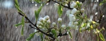 "Не чекайте літа": головні тенденції погодних умов на 29 травня