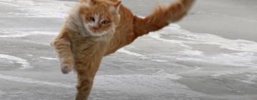 В  Украине объявили штормовое предупреждение