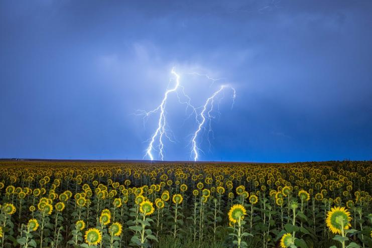 КРАТКИЙ ПРОГНОЗ ПОГОДЫ НА ИЮНЬ-2021