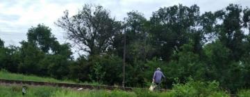 В Арцизе местный житель застрелил собаку на глазах у людей, и утащил тело в лес