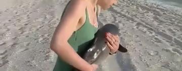 Туристы спасли дельфиненка