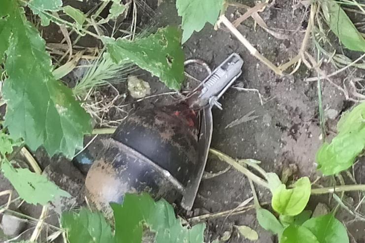 В АККЕРМАНЕ ВО ВРЕМЯ ПОКОСА ТРАВЫ ОБНАРУЖИЛИ РУЧНУЮ ГРАНАТУ