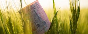 ФЕРМЕРИ ОДЕСЬКОЇ ОБЛАСТІ ОТРИМАЮТЬ 240 МІЛЬЙОНІВ ПІДТРИМКИ ВІД ДЕРЖАВИ