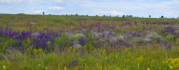 В Бородино поддержали идею создания парка 