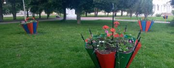 Реализация проекта "Цветущий Аккерман"