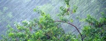 НА ОДЕСЧИНУ НАДВИГАЕТСЯ ГРОЗА