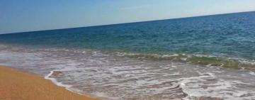 На известном украинском курорте в Одесской области порекомендовали не купаться