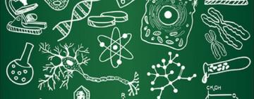 Учительница из Измаила сдала ВНО вместе со своими учениками и получила 200 баллов