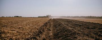 Фермери сумніваються у прозорій реалізації земельної реформи