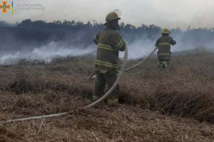 Рятувальники ліквідували загоряння пшеничного поля у Березівському районі