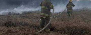 Рятувальники ліквідували загоряння пшеничного поля у Березівському районі