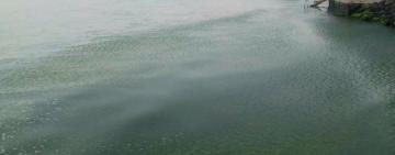 В Затоці на воді загинув чоловік: його 13-річного сина шукають водолази