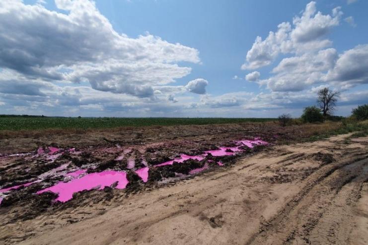 Поліція відкрила кримінальне провадження через рожеві калюжі біля Рівного