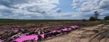 Поліція відкрила кримінальне провадження через рожеві калюжі біля Рівного