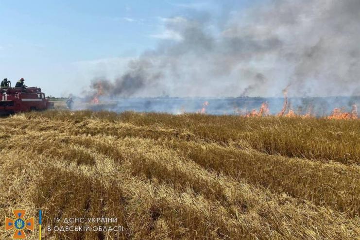 Підпал чи недбалість: рятувальники Одещини двічі ліквідовували загоряння на полях з пшеницею