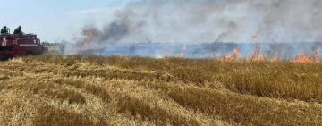 Підпал чи недбалість: рятувальники Одещини двічі ліквідовували загоряння на полях з пшеницею