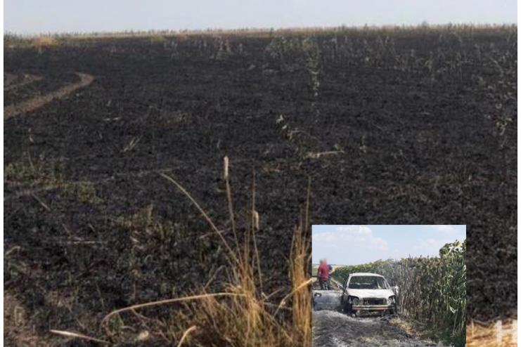 СНОВА ПОЖАРЫ: В ОДЕССКОЙ ОБЛАСТИ 13 ГА УРОЖАЯ УНИЧТОЖЕНО ОГНЁМ