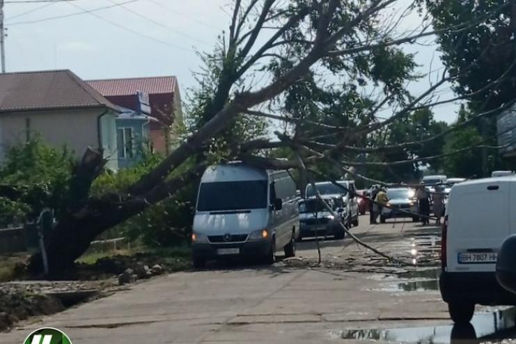 ⚡️В АРЦИЗЕ ПОСЛЕ НЕПОГОДЫ НА МАШИНУ РУХНУЛО ДЕРЕВО 