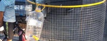 В Сараті встановили одинадцять сіток для збору пластикових пляшок, в планах ще чотирнадцять