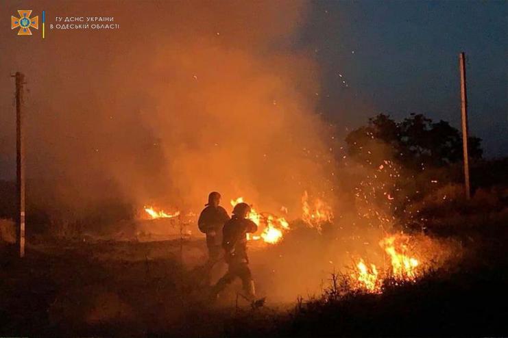 12 случаев за сутки: в Одесской области горят поля и сухая растительность(ФОТО)