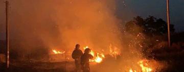 12 случаев за сутки: в Одесской области горят поля и сухая растительность(ФОТО)