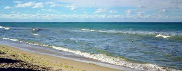 Улюблені курорти Одещини не пройшли перевірку морської води