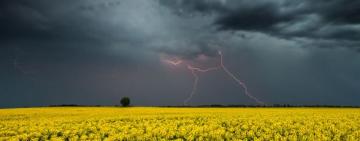 Ливни, град и шквалы: Одесскую область "поштормит"