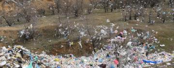 АРЦИЗСКАЯ ГОРОДСКАЯ СВАЛКА: ЕЕ ФУНКЦИИ И ПУТИ РЕШЕНИЯ СОЗДАВШИХСЯ ПРОБЛЕМ