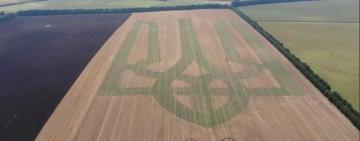 В Винницкой области фермеры высеяли на поле 500-метровый трезубец Украины и установили рекорд