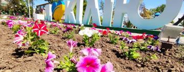 Тридцать лет Независимости: статистика рождаемости, заключения браков и смертности Килийщины