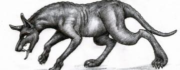 В Ровенской области поймали "чупакабру" (фото, видео)