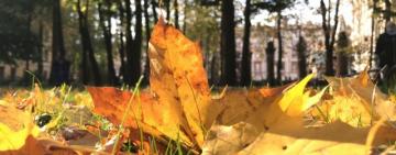 Теплый сентябрь и ранние заморозки в октябре: синоптики предупредили об аномальной погоде осенью