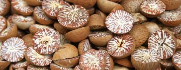 В Украину ввезли опасные орехи: их могут продавать в Одесской области