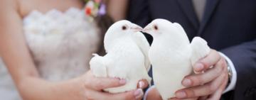 Украинцы смогут подать документы для регистрации брака на портале "Дія" 