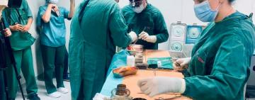 Ніч, яка зберегла чотири життя: українські лікарі пересадили серце, дві нирки і печінку