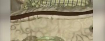 Мешает спать: в Одессе мужчина выгнал жену с ребенком спать на улицу 