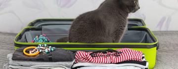 В Одесской области обустроят пункты пропуска для животных